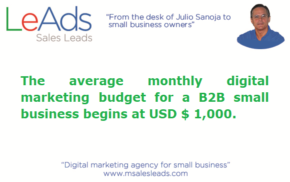 What is the average monthly digital marketing budget for a ...