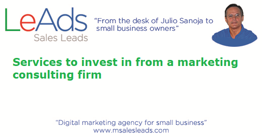 Marketing Consulting Firm