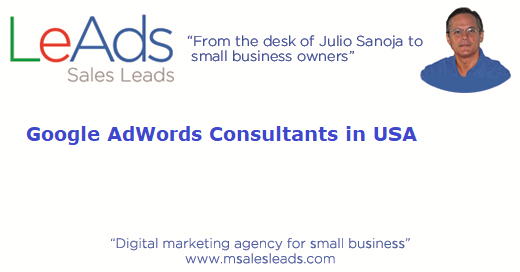 AdWords Consultants