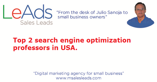 Search Engine Optimization Professors