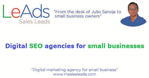 Digital SEO Agencies for Small Businesses