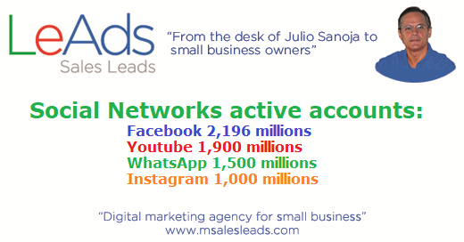 What are the top social networks for small businesses