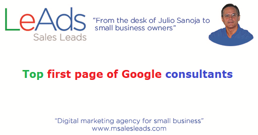 Top First Page of Google Consultants