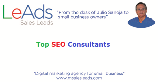 Top SEO Consultants