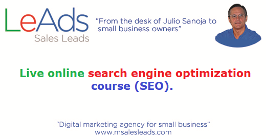 Live Online Search Engine Optimization Course