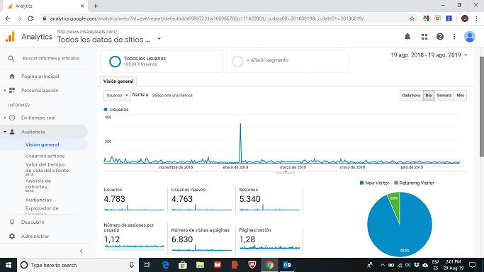 Analytics MSalesLeads Users 1 year