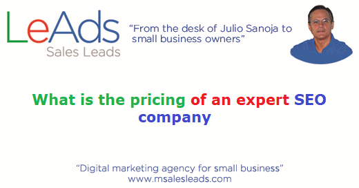 Expert SEO Company