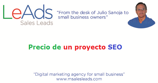 Precio Proyecto SEO